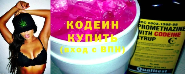 шишки Майский