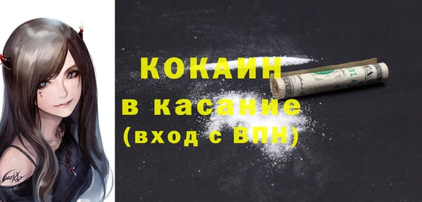 шишки Майский