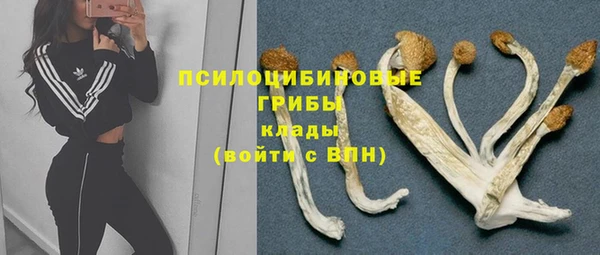 твердый Бежецк